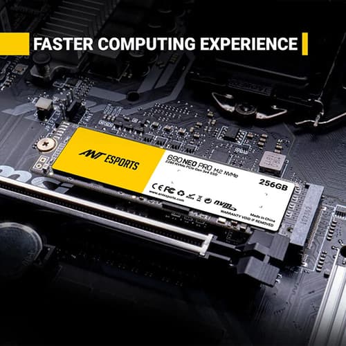 Ant Esports 690 Neo Pro 256GB M.2 NVMe Internal SSD